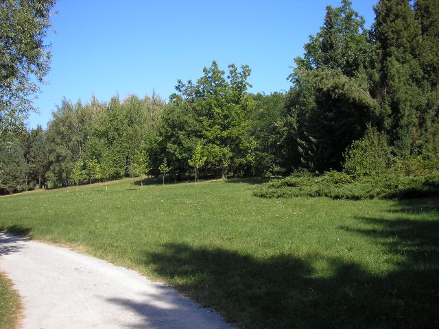P8310110.jpg