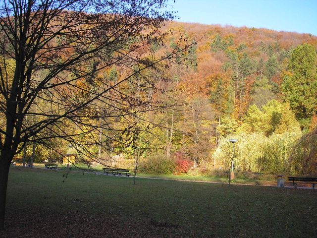 PA200037.jpg